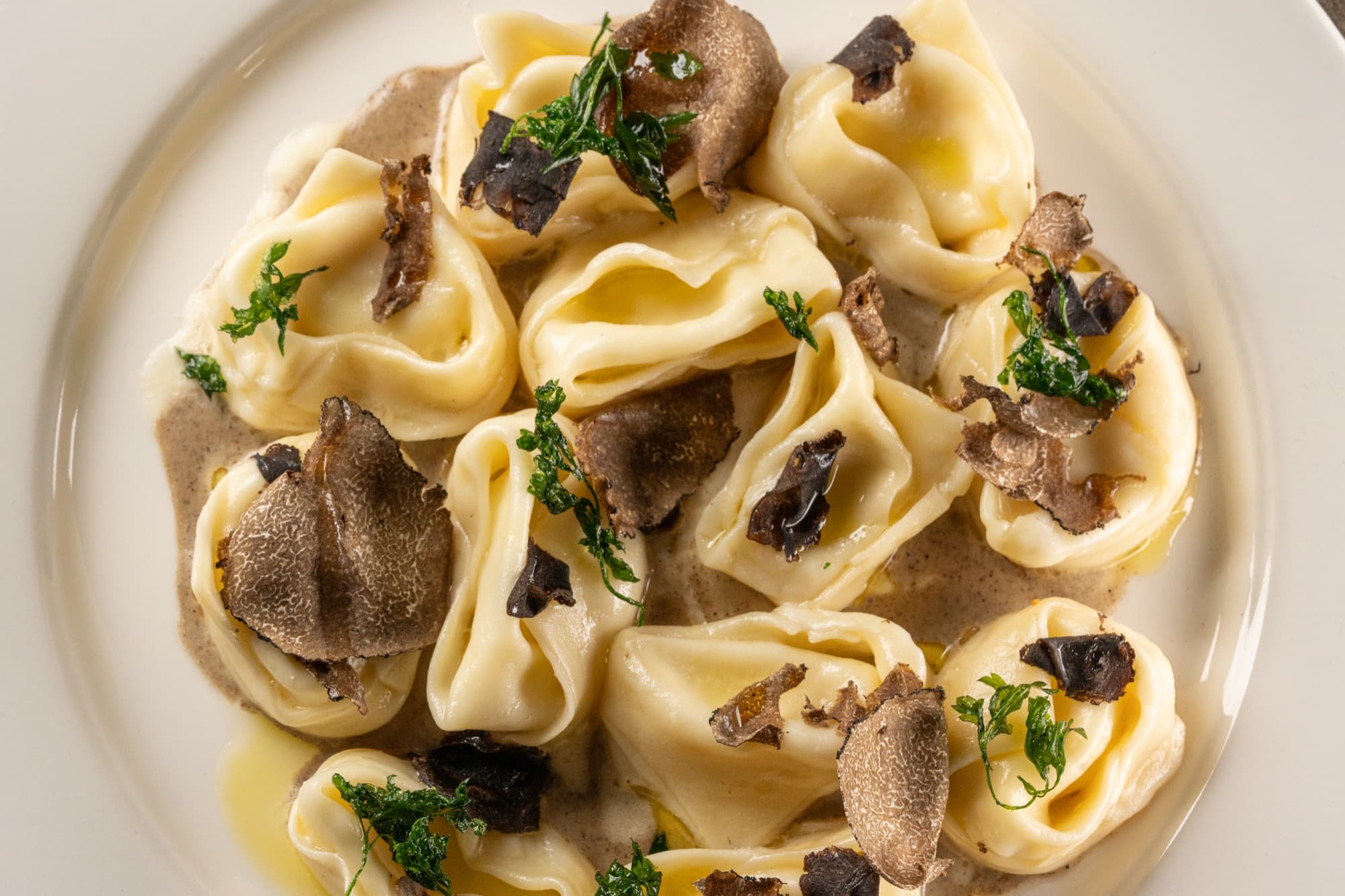 Close-up of tortelloni in cream sauce topped with shaved black truffle and fried parsley on a white plate.